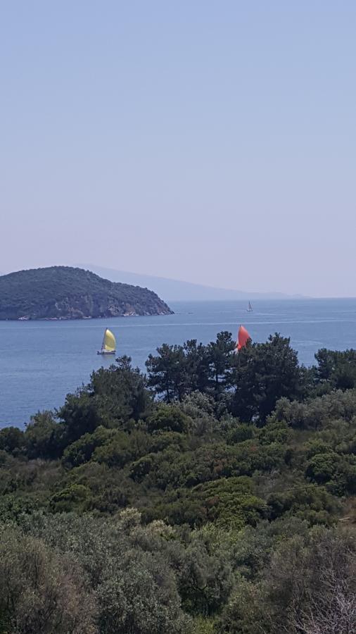 Sea Path Apartment PalaiónTsiflíkion エクステリア 写真